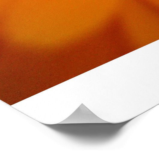 briljant! poster (Hoek)