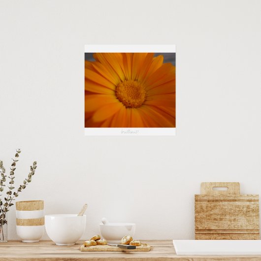 briljant! poster (Keuken)