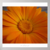 briljant! poster (Voorkant)