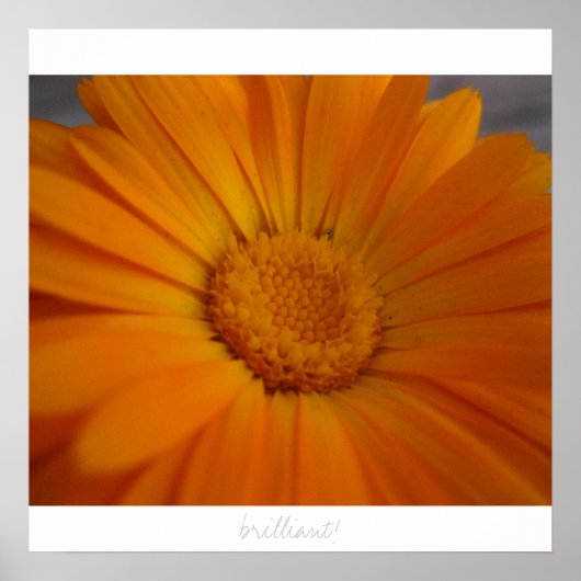 briljant! poster (Voorkant)