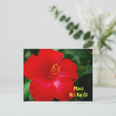 Briljant Red Hibiscus Flower, Maui Hawaii Briefkaart (Staand voorkant)