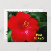 Briljant Red Hibiscus Flower, Maui Hawaii Briefkaart (Voorkant / Achterkant)