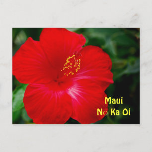 Briljant Red Hibiscus Flower, Maui Hawaii Briefkaart