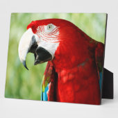 Briljant Rood Fotoplaat (Zijkant)