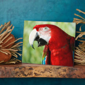 Briljant Rood Fotoplaat (Zijkant)