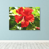 Briljant Rood Hibiscus Bloem Canvas Print (Insitu (Houten vloer))