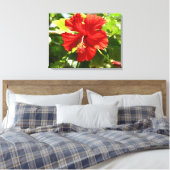 Briljant Rood Hibiscus Bloem Canvas Print (Insitu (Slaapkamer))