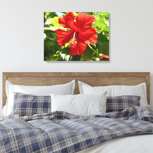 Briljant Rood Hibiscus Bloem Canvas Print (Insitu (Slaapkamer))