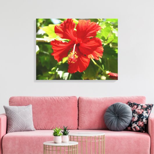 Briljant Rood Hibiscus Bloem Canvas Print (Insitu (Woonkamer))