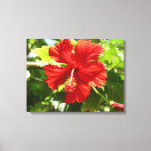 Briljant Rood Hibiscus Bloem Canvas Print (Voorkant)