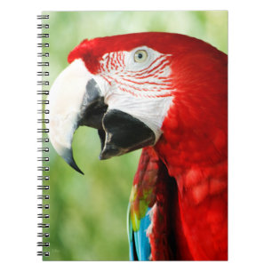 Briljant rood notitieboek