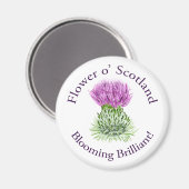 Briljant Schots fluitje Magneet (Voorkant / Achterkant)