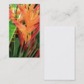 Briljant Tropisch Hawaïaans Hibiscus Visitekaartje (Voorkant / Achterkant)