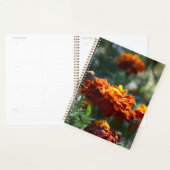 Briljantaarns Macrofoto Planner (Display)