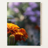 Briljantaarns Macrofoto Planner (Achterkant)