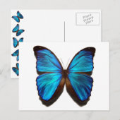 Briljantblauw Monarch Butterfly-briefkaart Briefkaart (Voorkant / Achterkant)