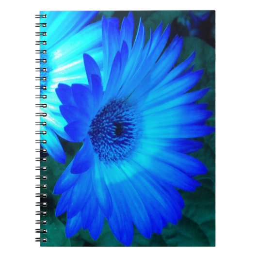 Briljantblauw Notitieboek (Voorkant)