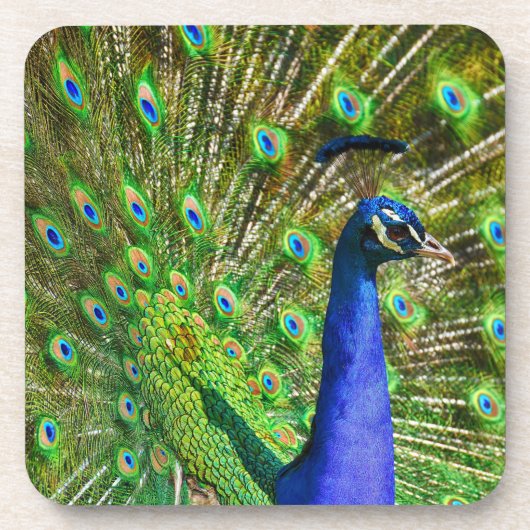 Briljantblauw peacock Beverage Coaster Bier Onderzetter (Voorkant)