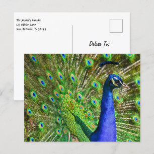 Briljantblauw Peacock Briefkaart