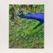 Briljantblauw Peacock Jigzaag Puzzle Legpuzzel (Verticaal)