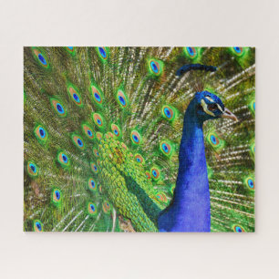 Briljantblauw Peacock Jigzaag Puzzle Legpuzzel