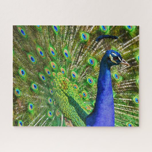 Briljantblauw Peacock Jigzaag Puzzle Legpuzzel (Horizontaal)