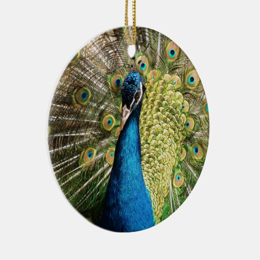 Briljantblauw Peacock Keramisch Ornament (Rechts)
