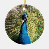 Briljantblauw Peacock Keramisch Ornament (Voorkant)