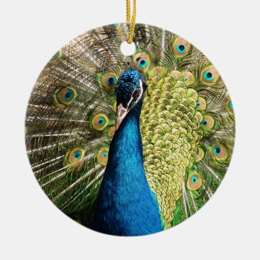 Briljantblauw Peacock Keramisch Ornament (Voorkant)