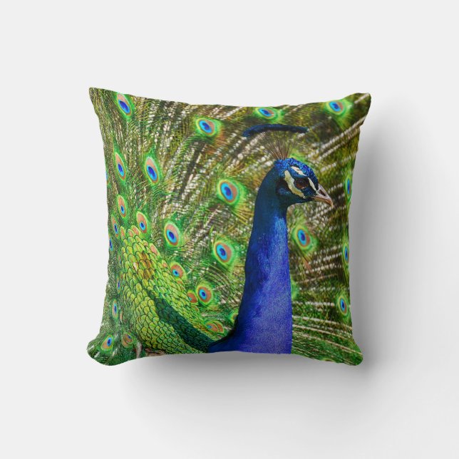 Briljantblauw Peacock Kussen (Voorkant)