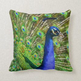 Briljantblauw Peacock Kussen