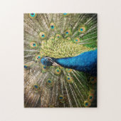 Briljantblauw Peacock Legpuzzel (Verticaal)