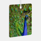 Briljantblauw Peacock Metal Ornament (Voorkant Rechts)