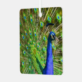 Briljantblauw Peacock Metal Ornament (Voorkant links)