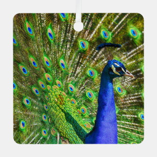 Briljantblauw Peacock Metal Ornament