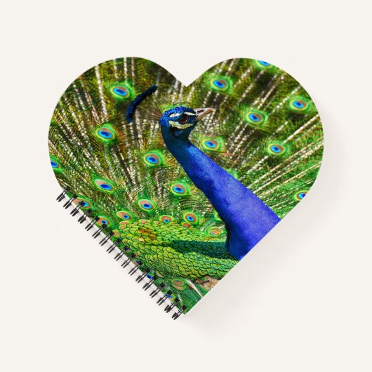 Briljantblauw Peacock Notitieboek (Voorkant)