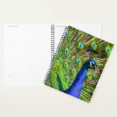 Briljantblauw Peacock Planner (Display)