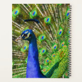 Briljantblauw Peacock Planner (Achterkant)