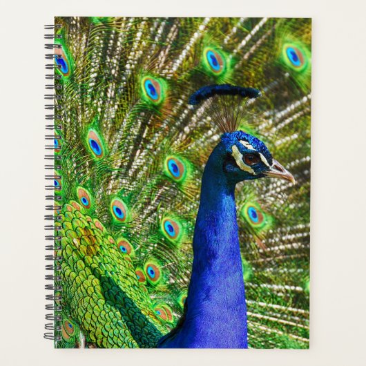 Briljantblauw Peacock Planner (Voorkant)