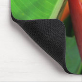 Briljante Heliconia Tropical Flowers Muismat (Hoek)