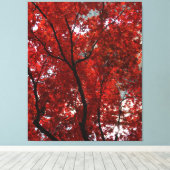 Briljante Herfst Foliage Shining Gloriously op een Canvas Afdruk (Insitu (Houten vloer))