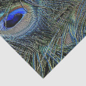 Briljante kleuren Peacock Feathers Blue Gold Tissuepapier (Detail)
