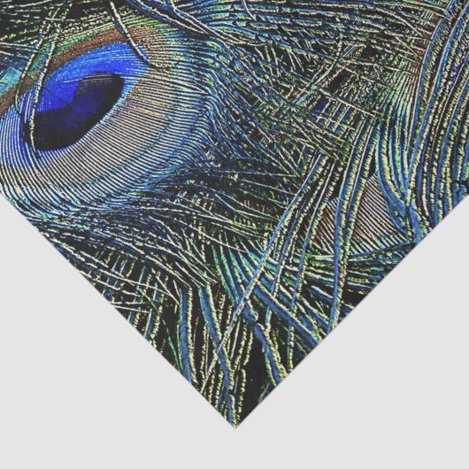 Briljante kleuren Peacock Feathers Blue Gold Tissuepapier (Detail)