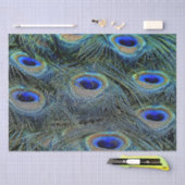 Briljante kleuren Peacock Feathers Blue Gold Tissuepapier (Craft)