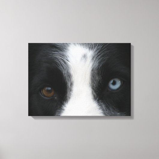 Briljante Puppy Ogen Canvas Afdruk (Voorkant)