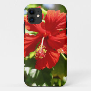 Briljante rode Hawaiian Hibiscus Flower iPhone 11 Hoesje