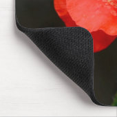 Briljante rode papaver muismat (Hoek)