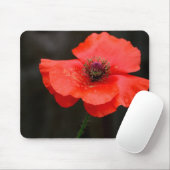 Briljante rode papaver muismat (Met muis)