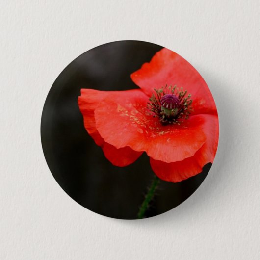 Briljante rode papaver ronde button 5,7 cm (Voorkant)