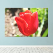 Briljante rode tulp canvas afdruk (Insitu (Houten vloer))